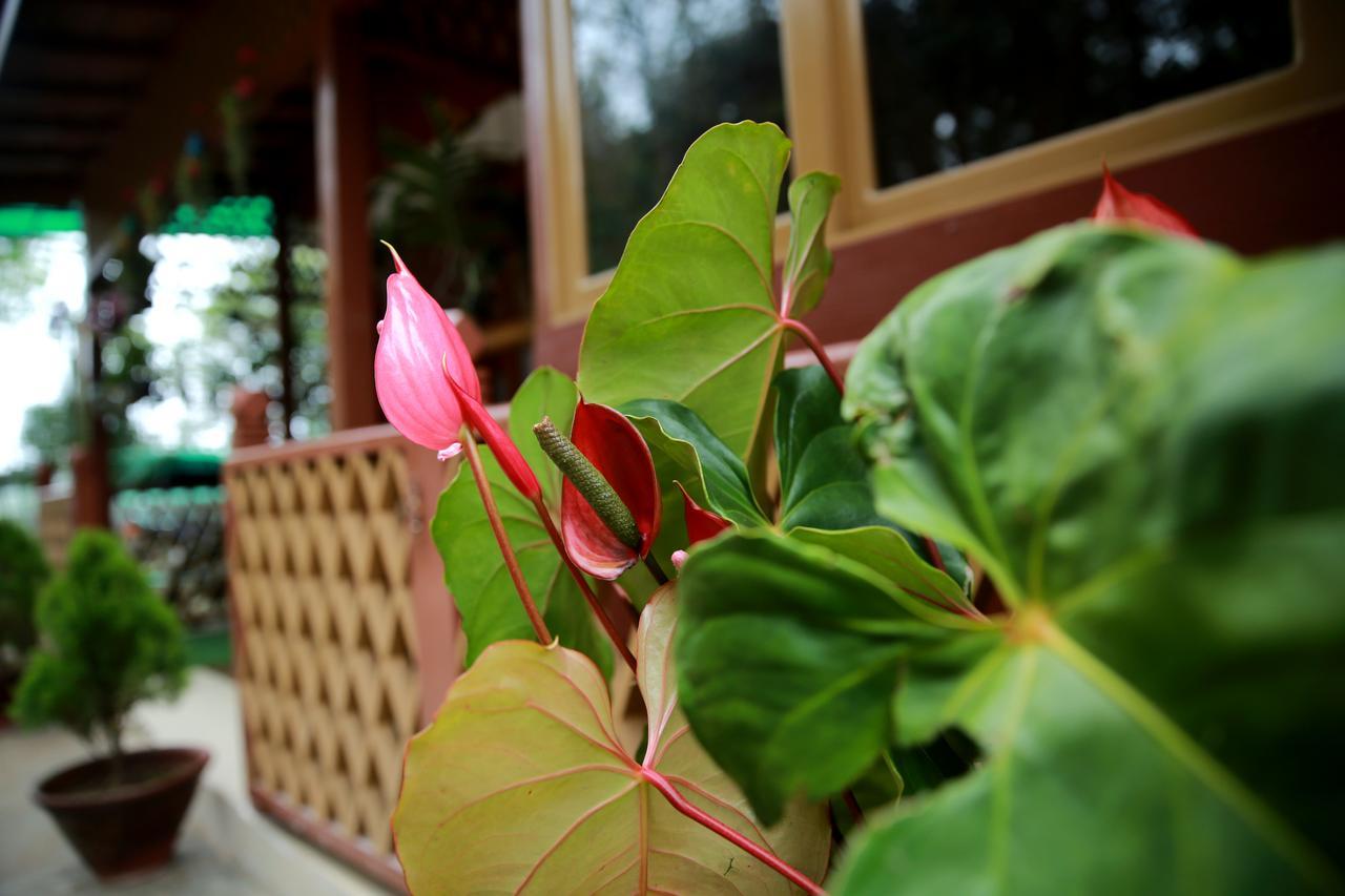 Essence Motel Kalaw Ngoại thất bức ảnh